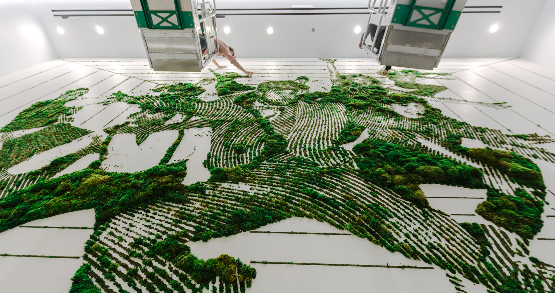Graffiti with moss the sustainable way to advertise Basa Studio